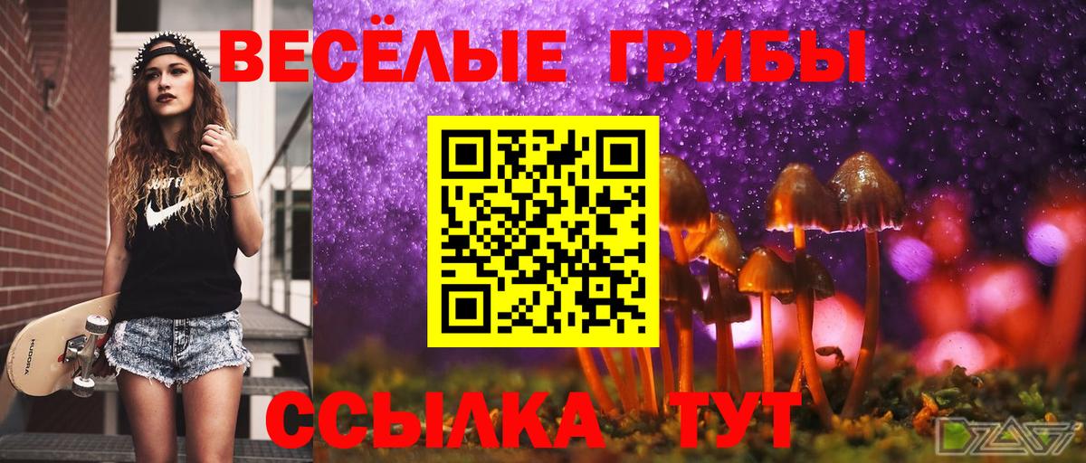 Галлюциногенные грибы ЛСД Северобайкальск