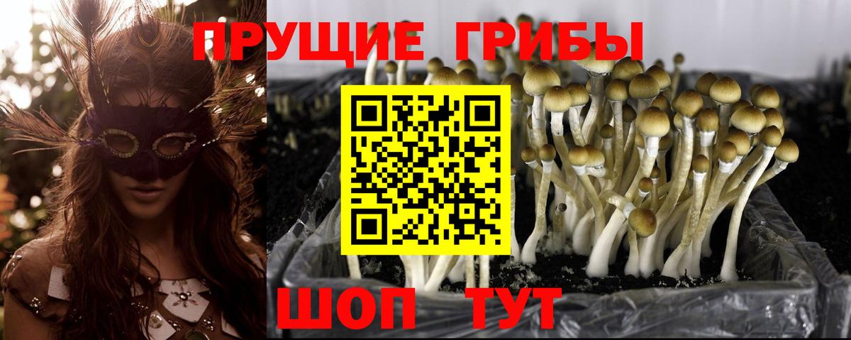 Меф кристаллы  Северобайкальск  Экстази  Cocaine  ГАШИШ  Каннабис  Вход с VPN  МЕТ  Гашиш 